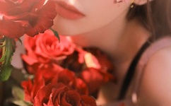 金马战士动画片全集